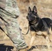 Military Working Dog Training