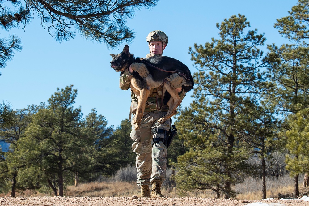 Military Working Dog Training