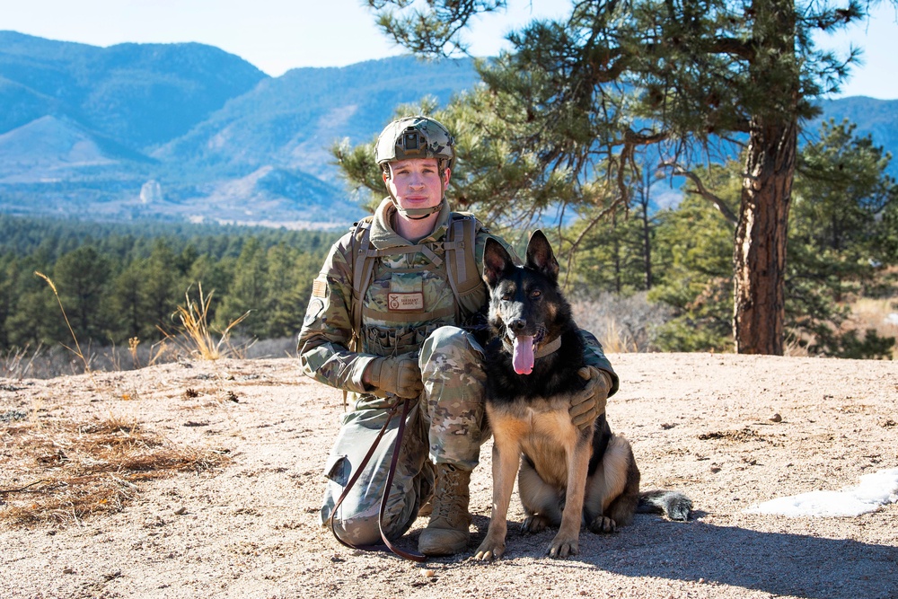 Military Working Dog Training