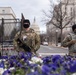 La. National Guard supports the 59th Presidential Inauguration