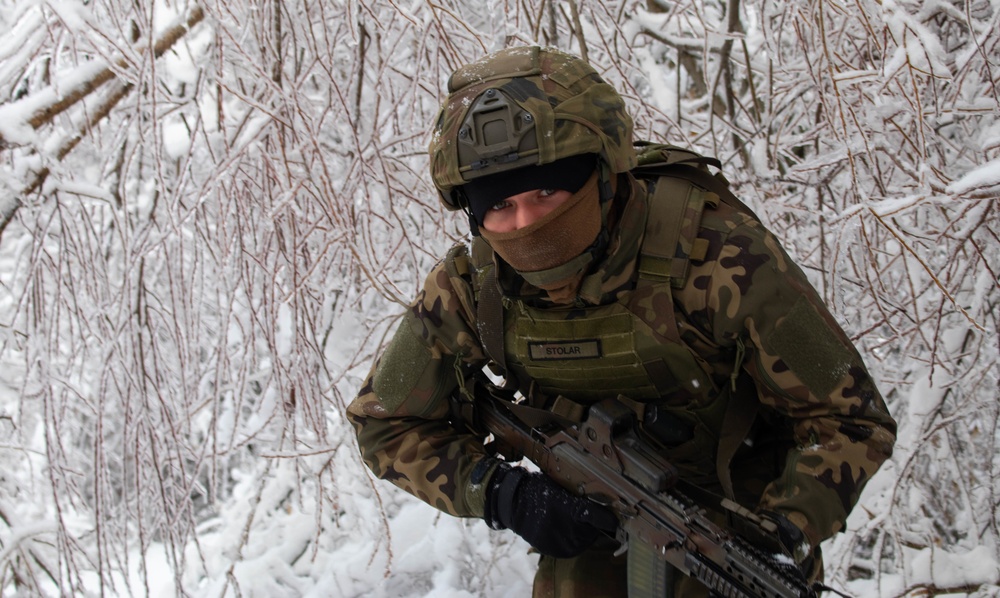 DVIDS - Images - Polish KFOR Soldiers patrol the ABL [Image 3 of 11]