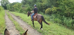 Horses help ARCP Soldiers recover and overcome