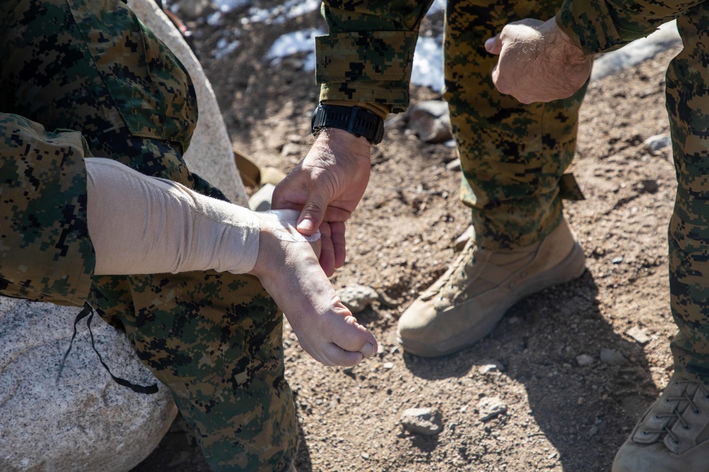 2nd Maintenance Battalion Mountain Warfare Conditioning Hike