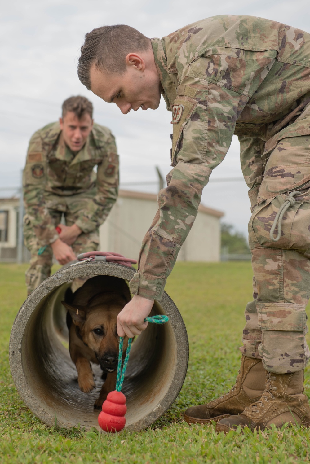 Security forces welcomes newest military working dog