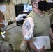 AAAB Soldiers Receive COVID-19 Vaccine