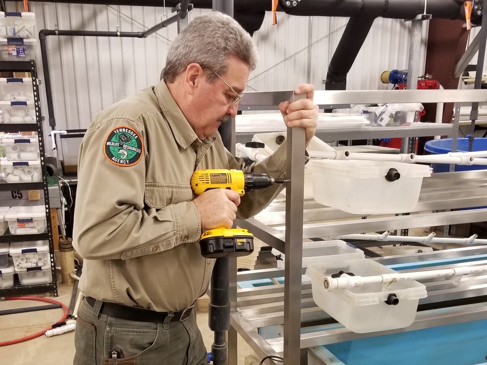 Cumberland River Aquatic Center flexes its mussels with Corps mitigation dollars