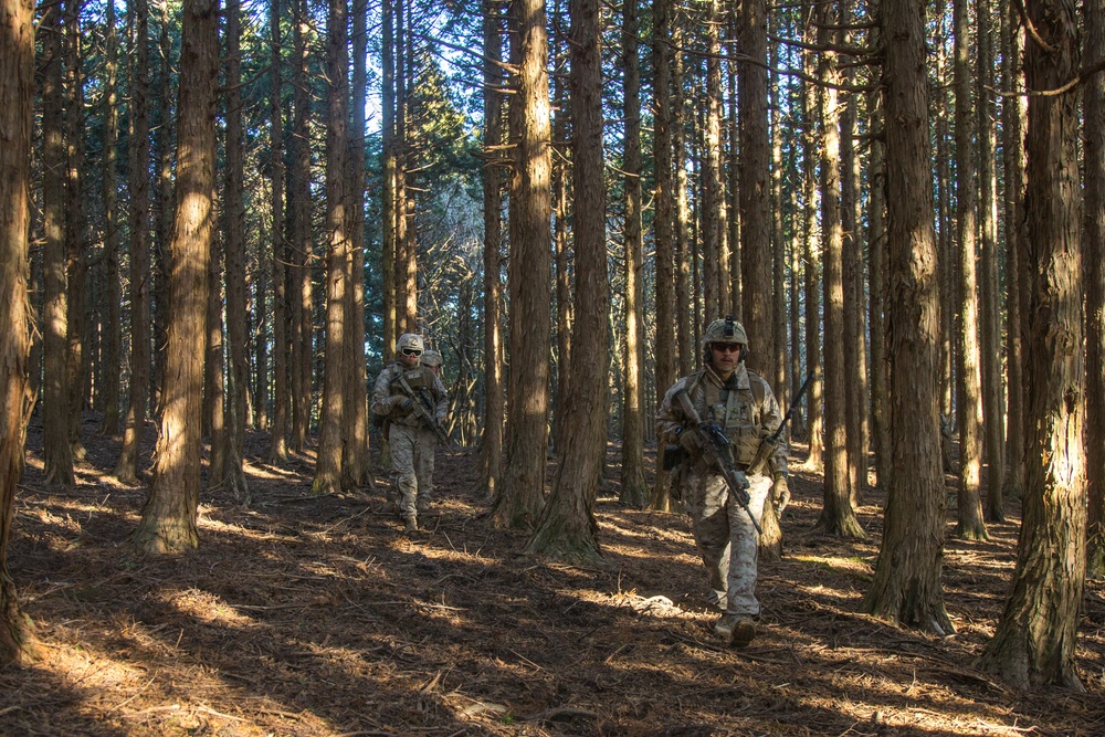 3d Battalion, 8th Marine Regiment Participates in Fuji Viper 21.2