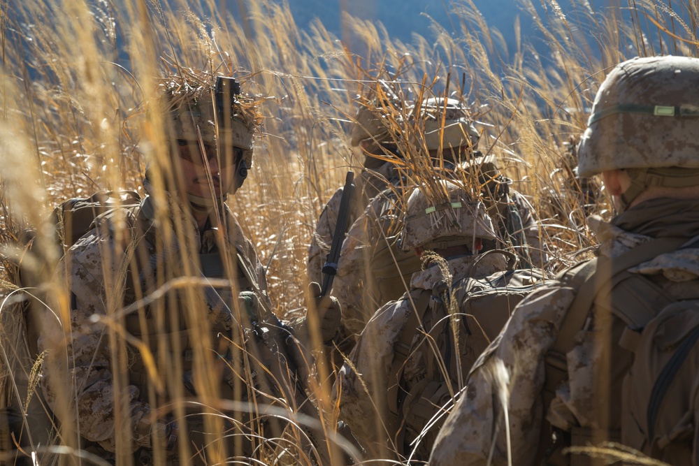 3d Battalion, 8th Marine Regiment Participates in Fuji Viper 21.2