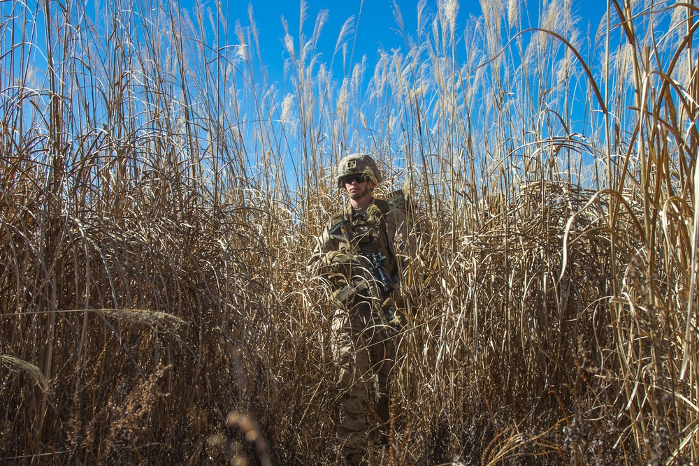 3d Battalion, 8th Marine Regiment Participates in Fuji Viper 21.2