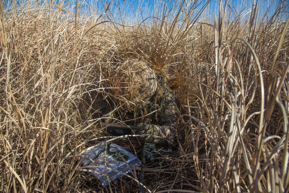 3d Battalion, 8th Marine Regiment concludes Fuji Viper 21.2