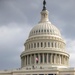 National Guard Provides Security for 59th Presidential Inauguration