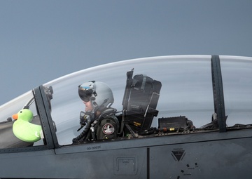 A duck that flies with eagles