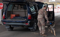 KFOR conducts joint force protection exercise at Camp Bondsteel