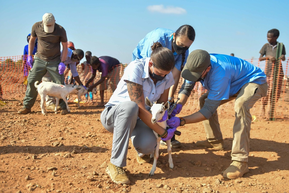Civil Affairs East Africa Team participates in veterinary exchange