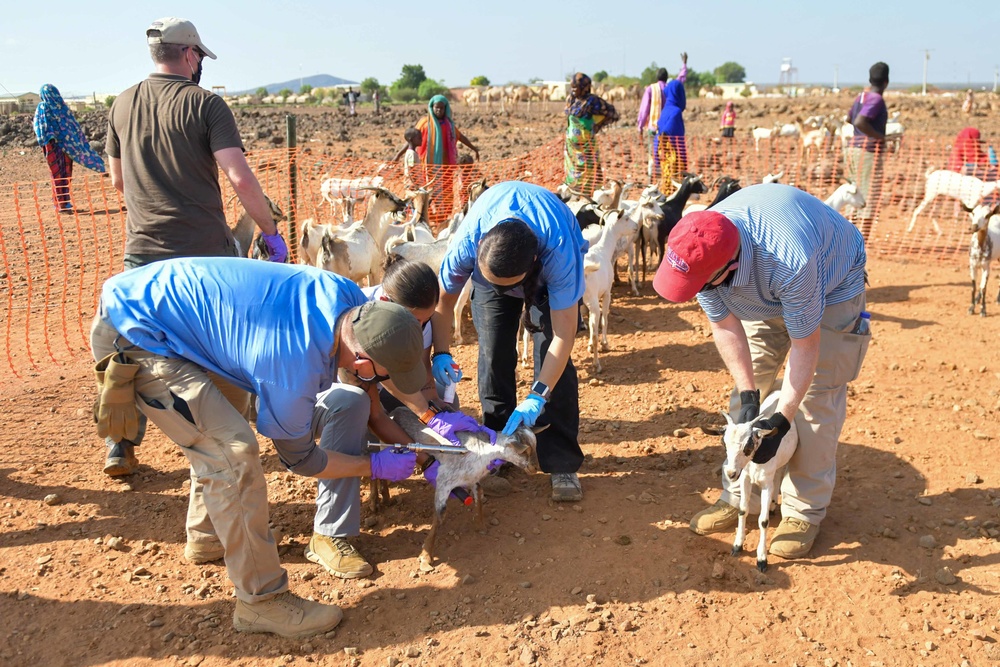 Civil Affairs East Africa Team participates in veterinary exchange
