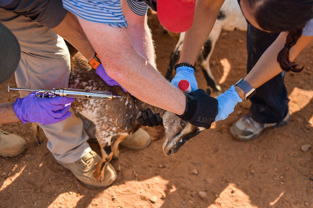 Civil Affairs East Africa Team participates in veterinary exchange