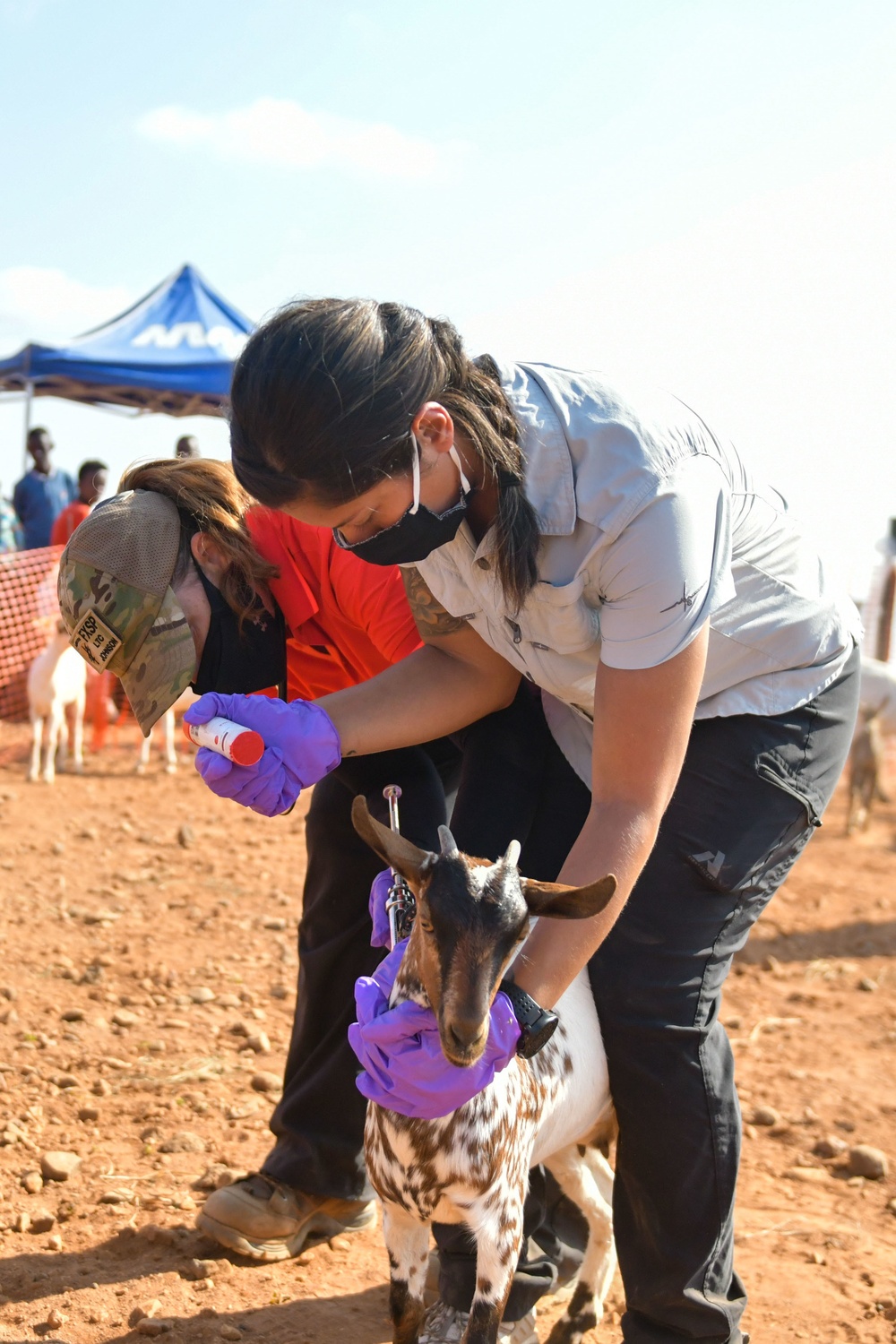 Civil Affairs East Africa Team participates in veterinary exchange