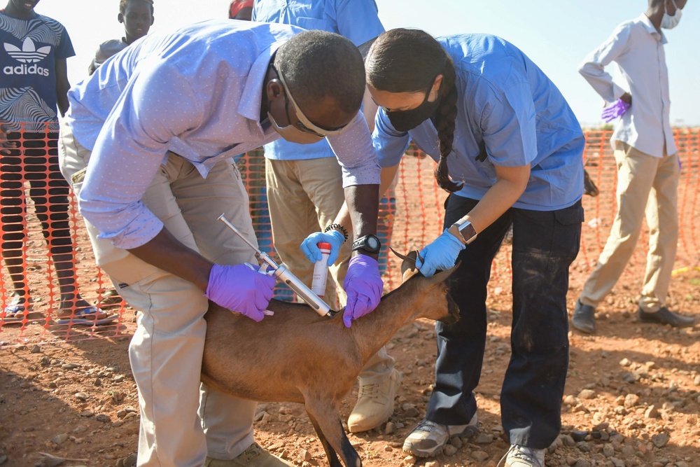 Civil Affairs East Africa Team participates in veterinary exchange