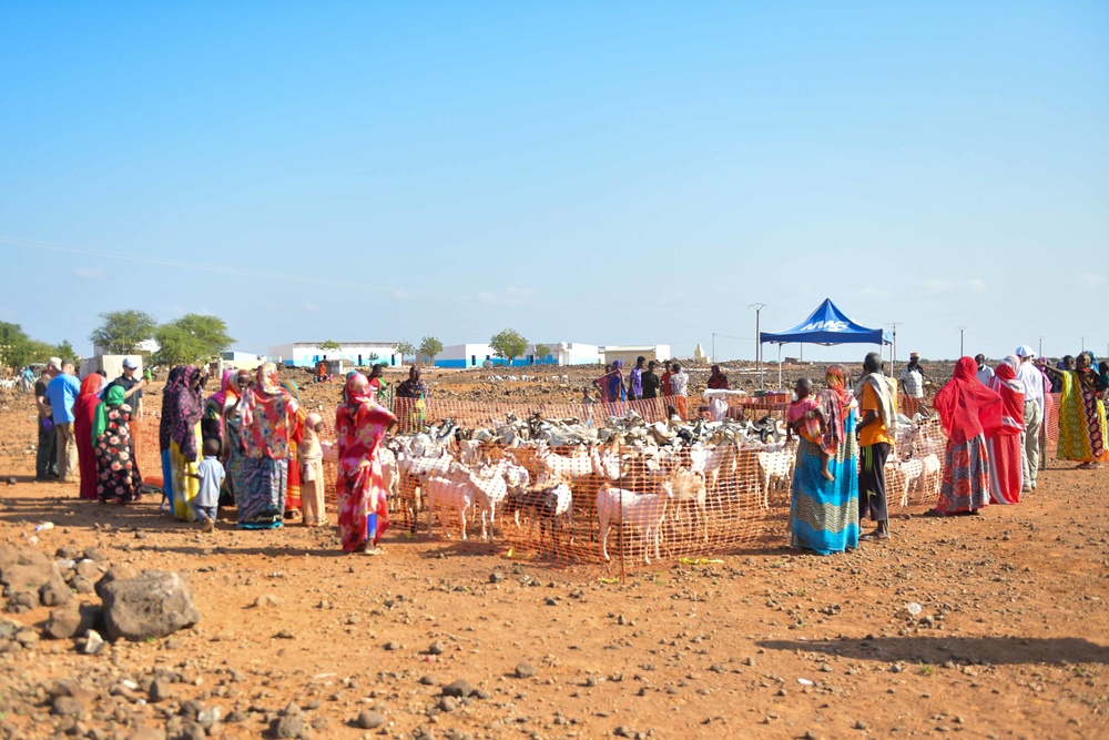 Civil Affairs East Africa Team participates in veterinary exchange