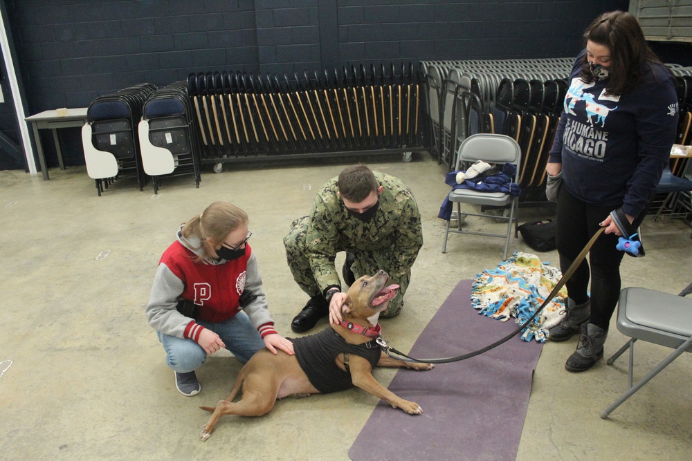 TSC Sailors Enjoyed a Day Relaxing With Dogs