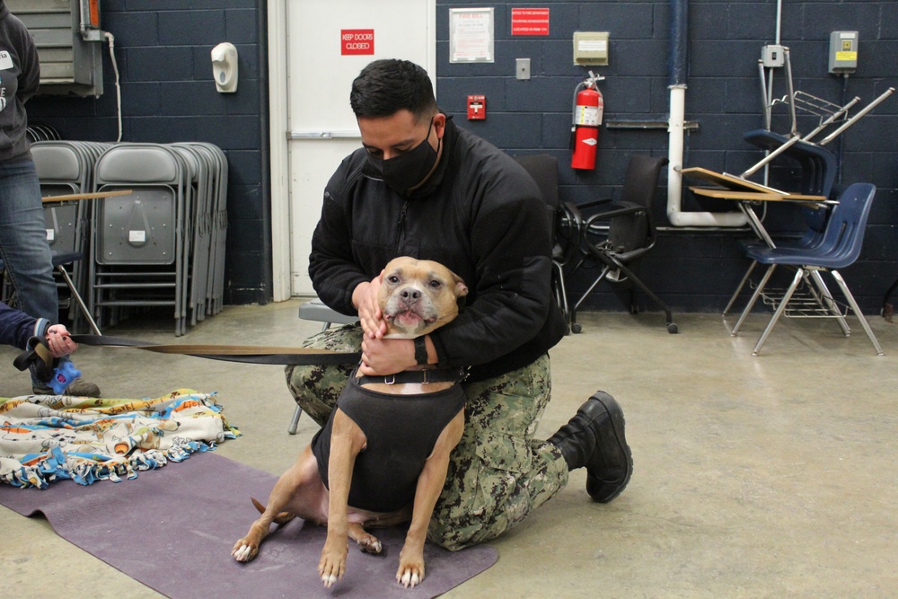 TSC Sailors Enjoyed a Day Relaxing With Dogs