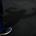 Return of the Fitness Test: No shadow of doubt