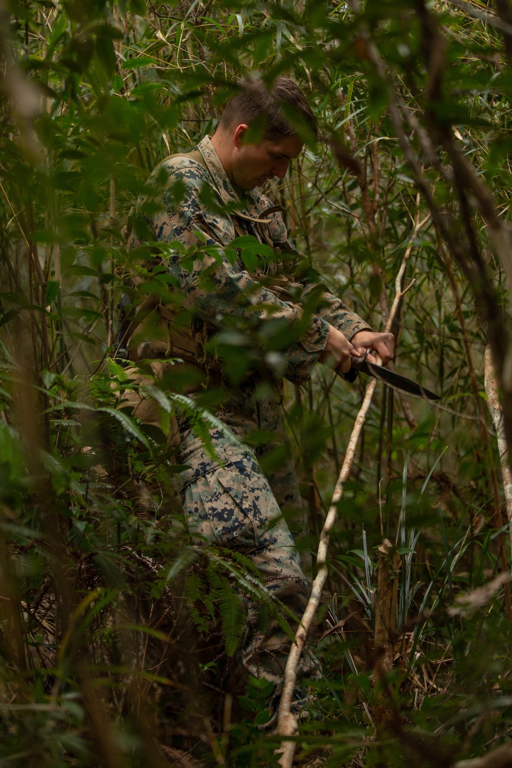 Jungle Warfare Survival Training