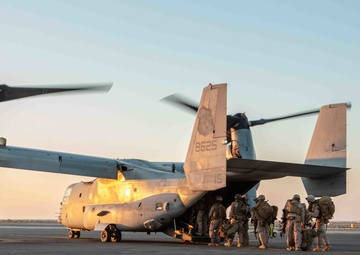 UAE Armed Forces and U.S. Marines Complete Defense Training in UAE