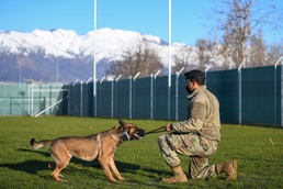 Military working dog teams dominate in new facility