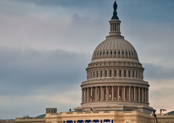 NEPLOs Provide Support for Presidential Inauguration