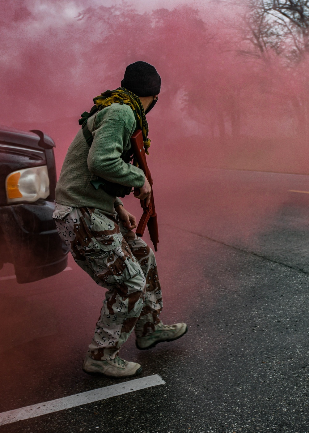 Operation Steel Dragon