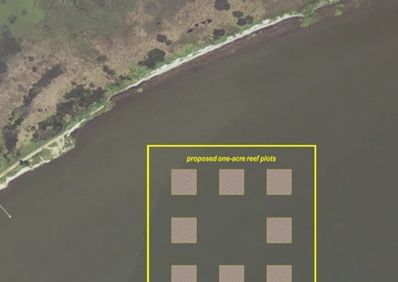 ERDC partners with University of Southern Mississippi to maximize Gulf oyster habitat restoration