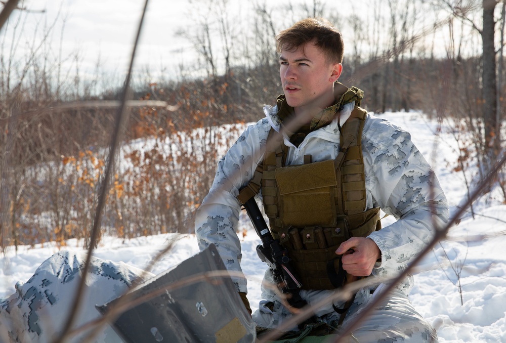 2nd ANGLICO conducts joint-fires integration training