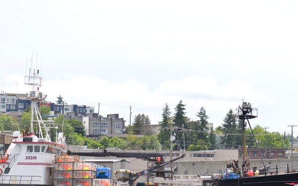 The fishing vessel Scandies Rose