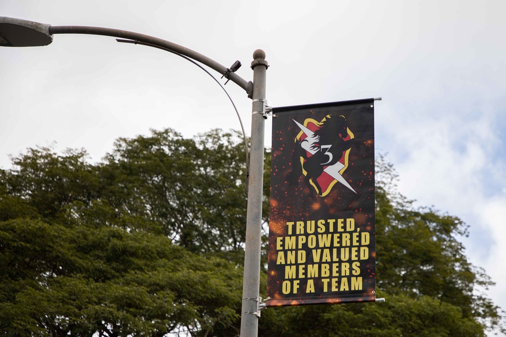 Light Pole Banners Installation