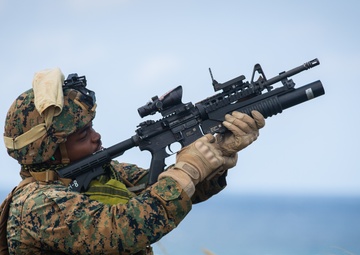 5th ANGLICO JTAC coordinate CAS