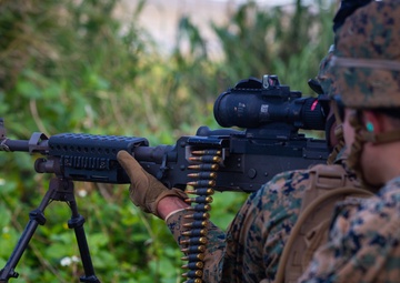 5th ANGLICO JTAC coordinate CAS