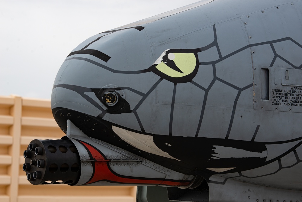 Blacksnakes at Red Flag