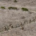 Marines with the 11th MEU conduct raid training