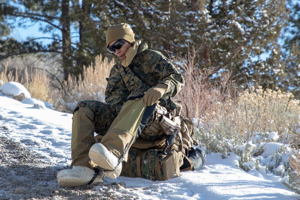 2nd Maintenance Battalion hikes to Grouse Meadows