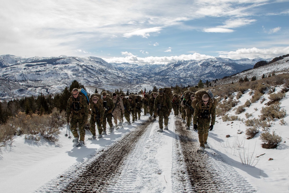 2nd Maintenance Battalion hikes to Grouse Meadows