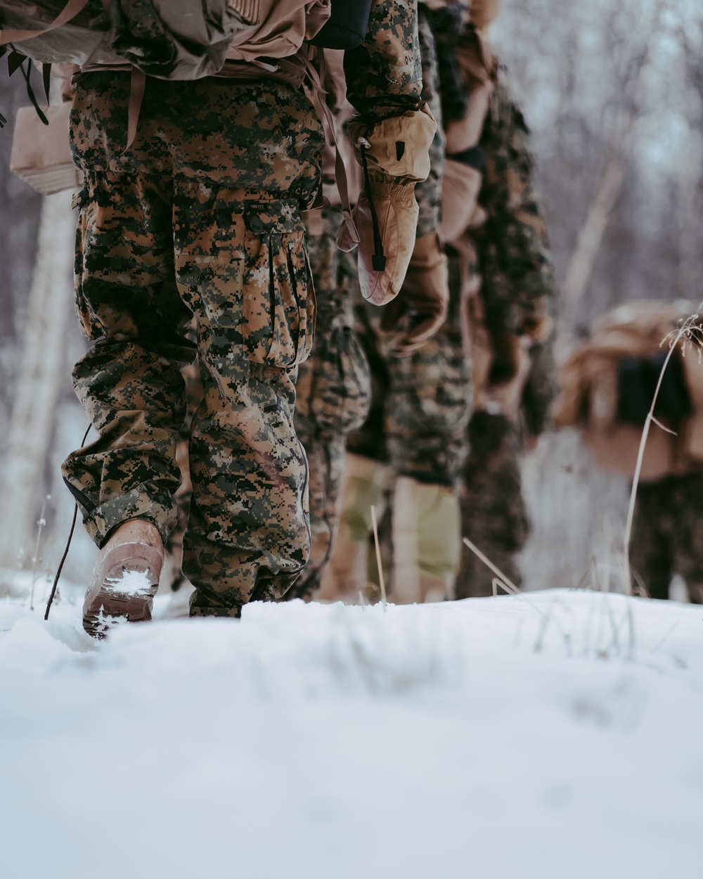 Walking on Thin Ice