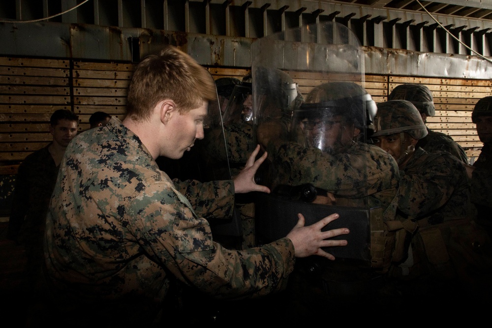 BLT 3/4 practice riot control techniques