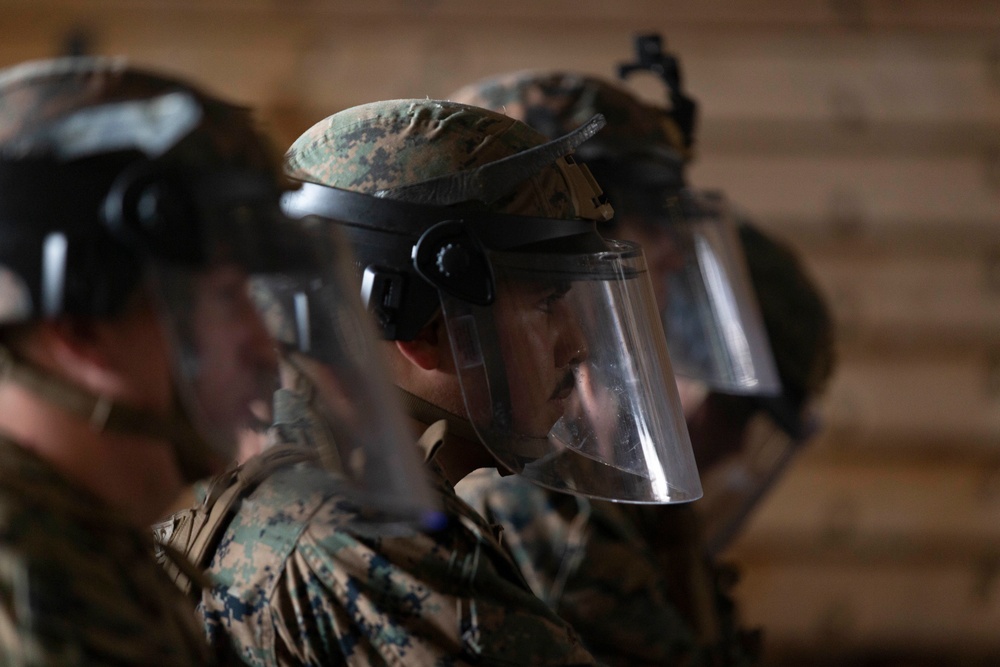 BLT 3/4 practice riot control techniques