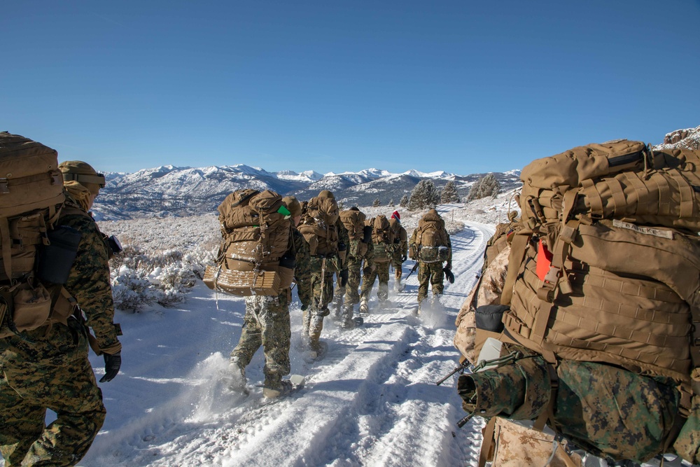 2nd Maintenance Battalion hikes to Grouse Meadows