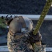BLT 1/1 Conducts Fast Rope Training
