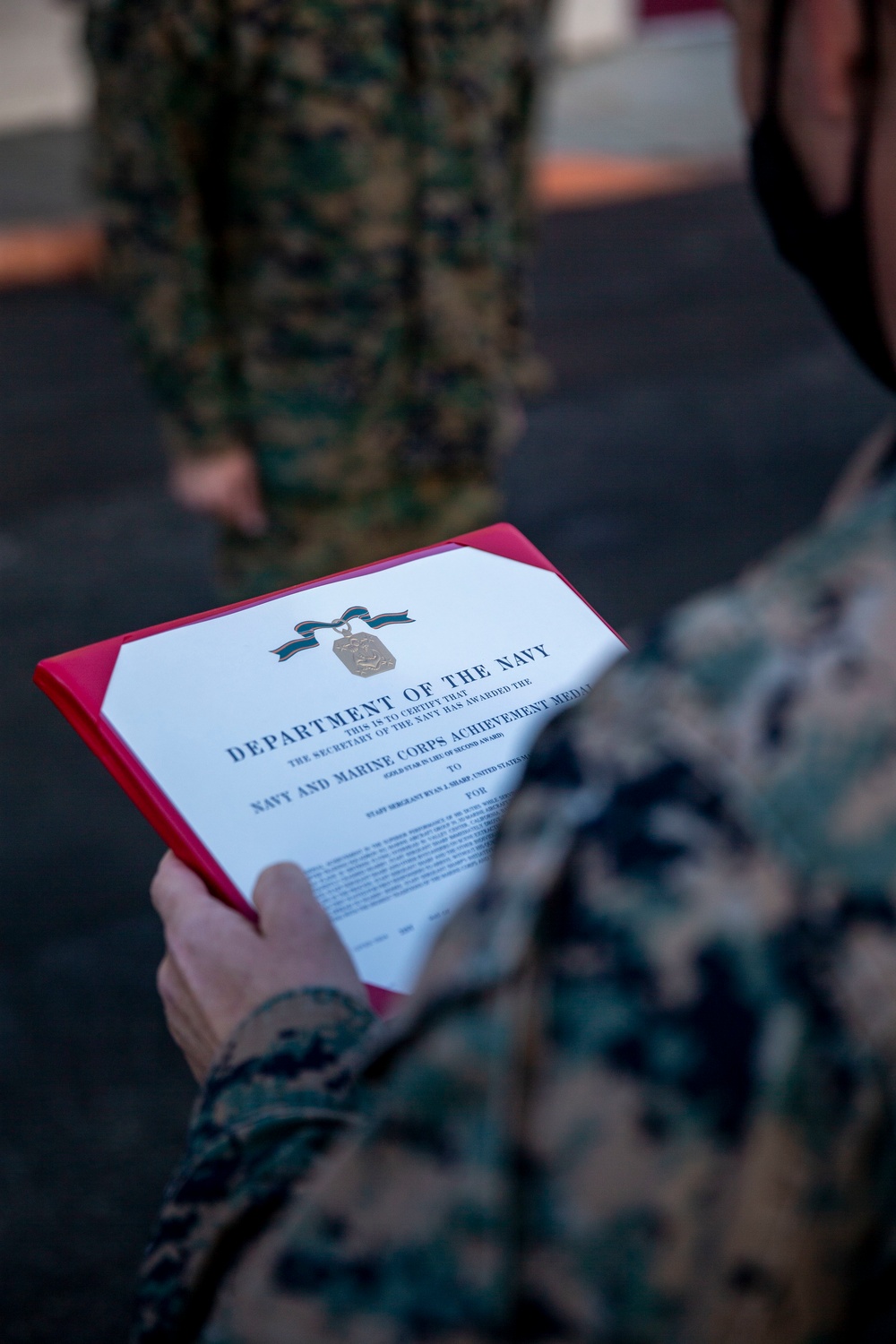 Marine awarded for lifesaving actions after Valley Center plane crash