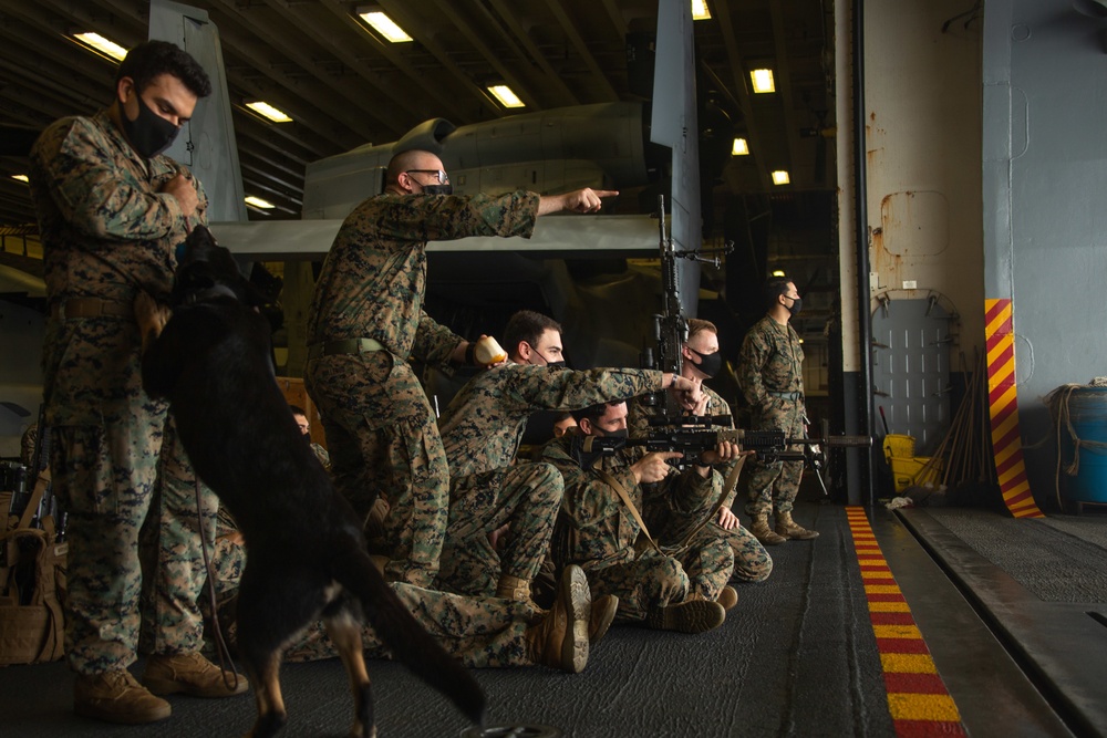 31st MEU Trap Drill