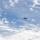 Marines train to drop bombs at a moment’s notice