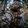 4-23 Tomahawk soldiers conduct air assault training
